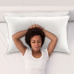 Cheer Collection Set Of 2 King Size Down Alternative Pillows (20" X 36")